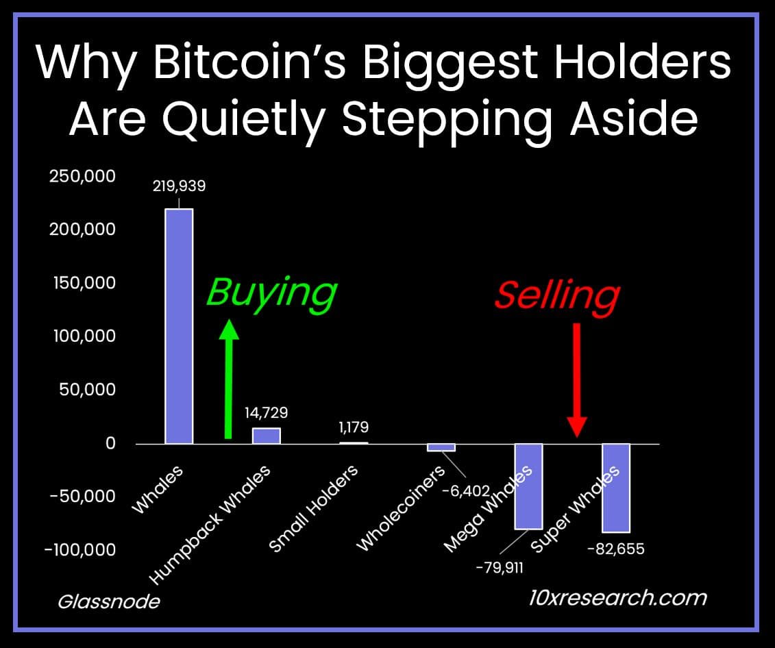 Los mayores tenedores de Bitcoin