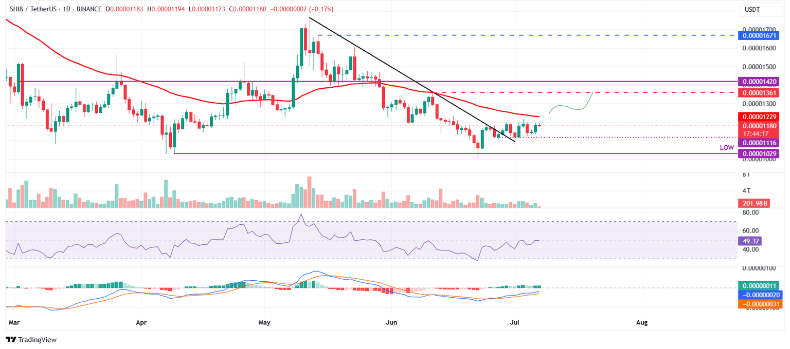 Gráfico diario de SHIB/USDT