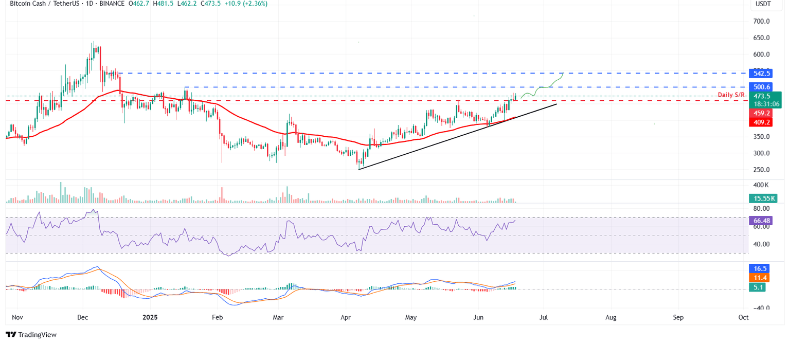 Gráfico diario de BCH/USDT