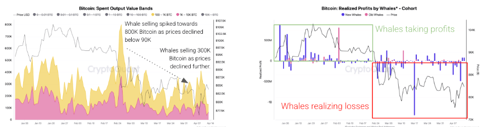 Bandas de valor de salida gastada de Bitcoin (gráfico de la izquierda). Beneficio de Bitcoin por cohortes de ballenas (gráfico de la derecha). Fuente: CryptoQuant