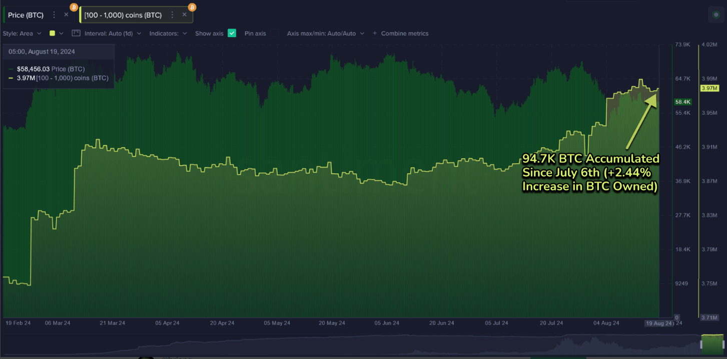 Bitcoin 100 to 1000 holdings chart