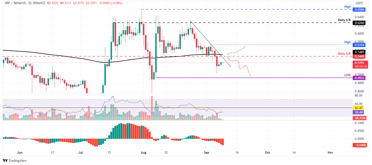 XRP/USDT daily chart