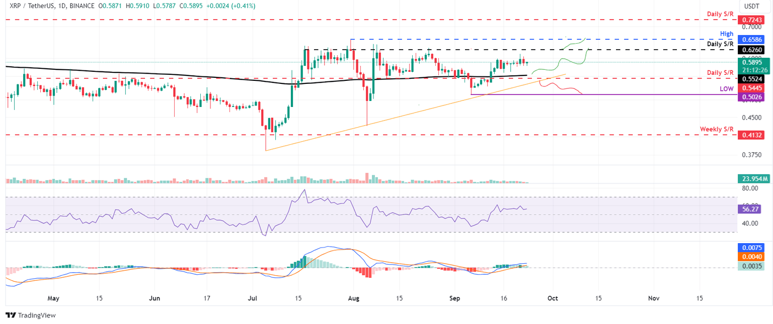XRP/USDT daily chart