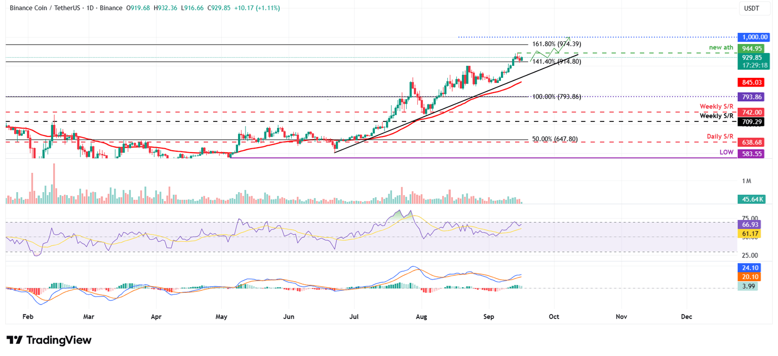 Gráfico diario de BNB/USDT