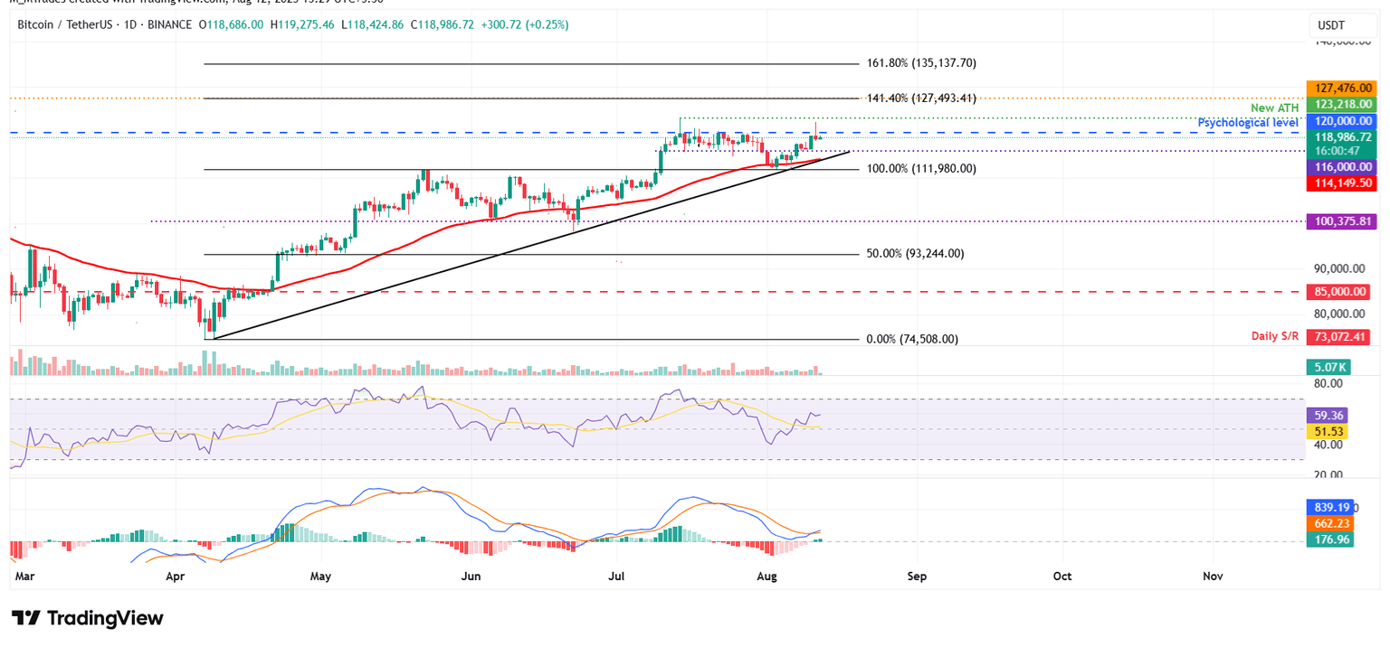 Gráfico diario BTC/USDT