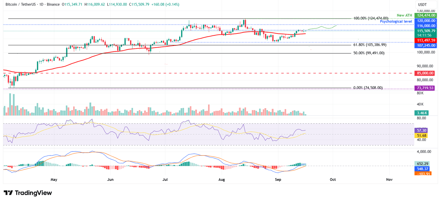 Gráfico diario BTC/USDT