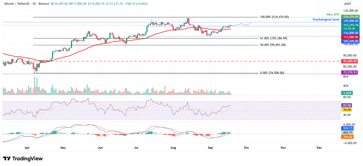 Gráfico diario BTC/USDT
