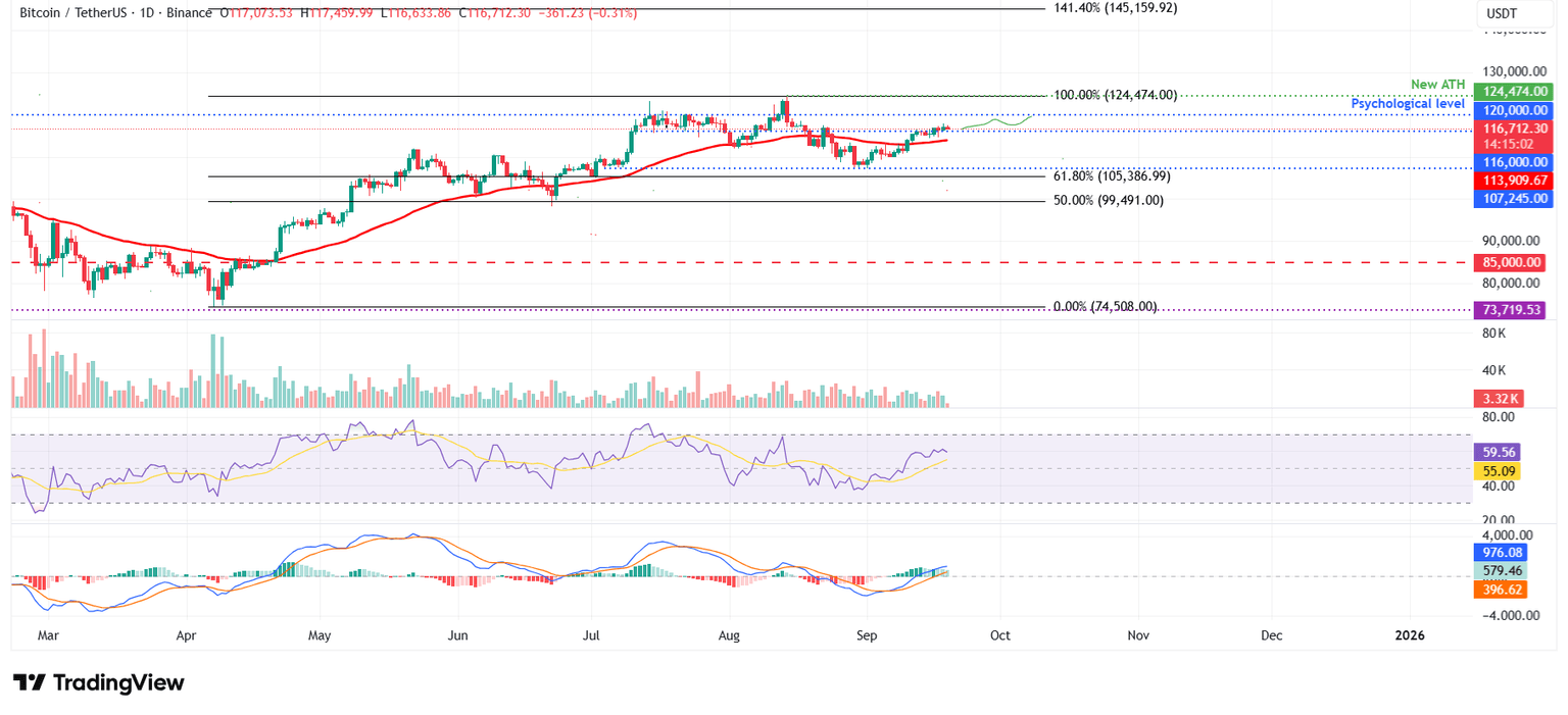 Gráfico diario BTC/USDT