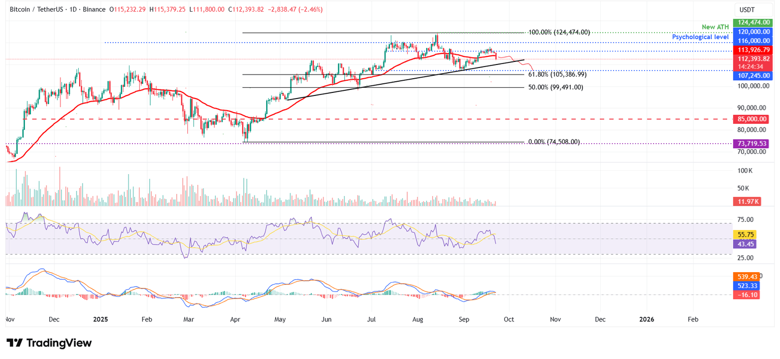 Gráfico diario BTC/USDT