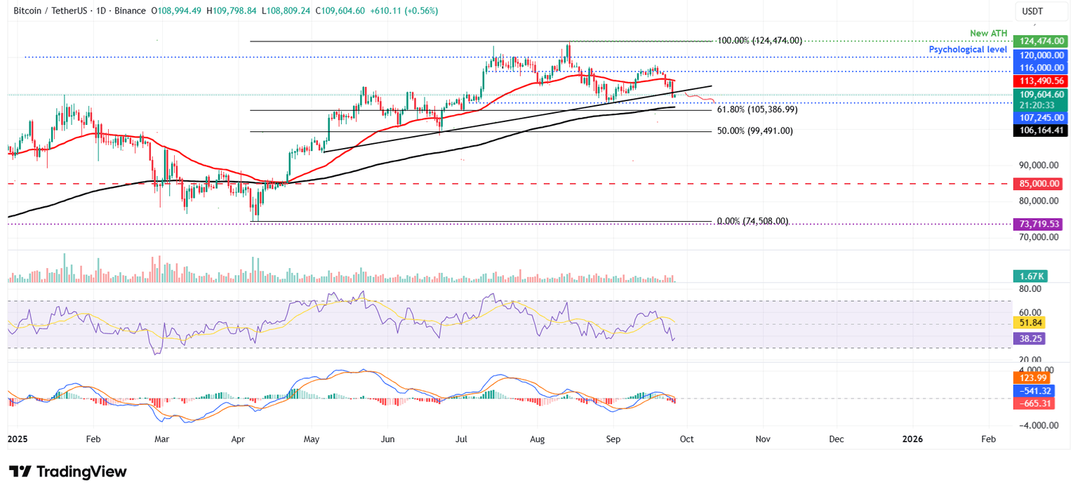 Gráfico diario BTC/USDT