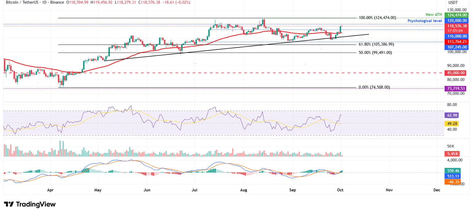 Gráfico diario BTC/USDT