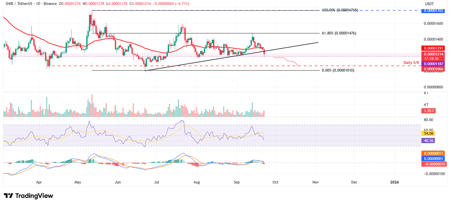 SHIB/USDT gráfico diario