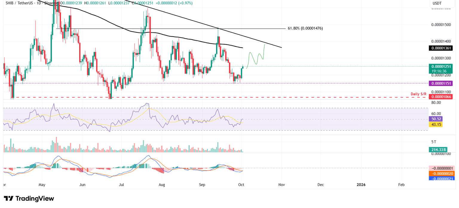 Gráfico diario SHIB/USDT
