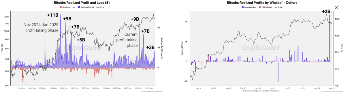 Beneficio y pérdida realizados de Bitcoin (izquierda) gráfico. Beneficios realizados de Bitcoin por ballenas (derecha) gráfico. Fuente: CryptoQuant
