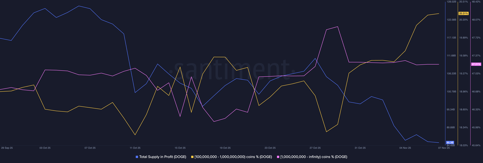 Distribución del suministro de Dogecoin. Fuente: Santiment.