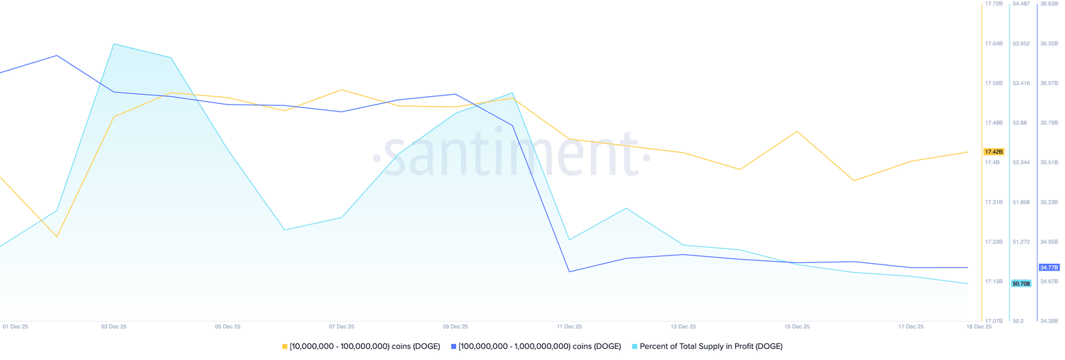 Distribución de la oferta de DOGE. Fuente: CoinGlass