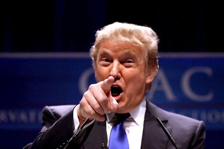 Qué significa la elección de Trump para Europa y los Países Bajos – ABN AMRO