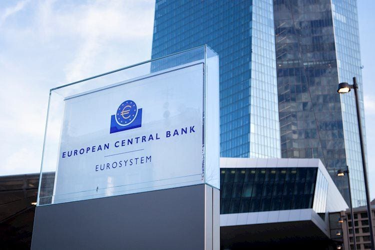 BCE: Knot dice que la política fiscal de la zona euro debe mantener un papel importante durante años