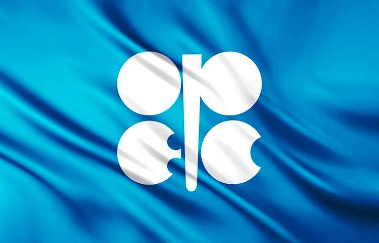 OPEP eleva las perspectivas de crecimiento de la demanda de petróleo para 2020 en 0.14 millones de bpd hasta los 1.22 millones de bpd