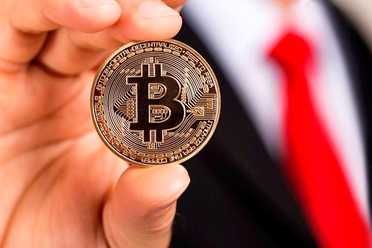 Criptomonedas: La victoria de Biden en las elecciones presidenciales de EE.UU. podría tener diferentes efectos en Bitcoin y DeFi