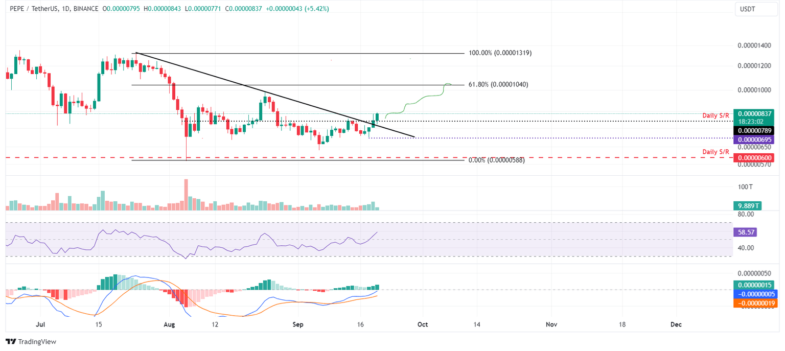 PEPE/USDT daily chart
