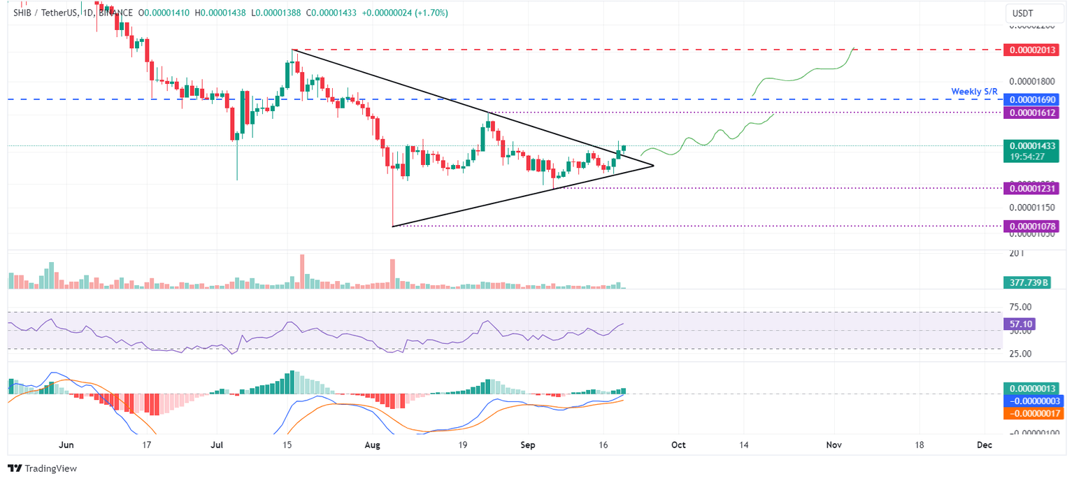 SHIB/USDT daily chart