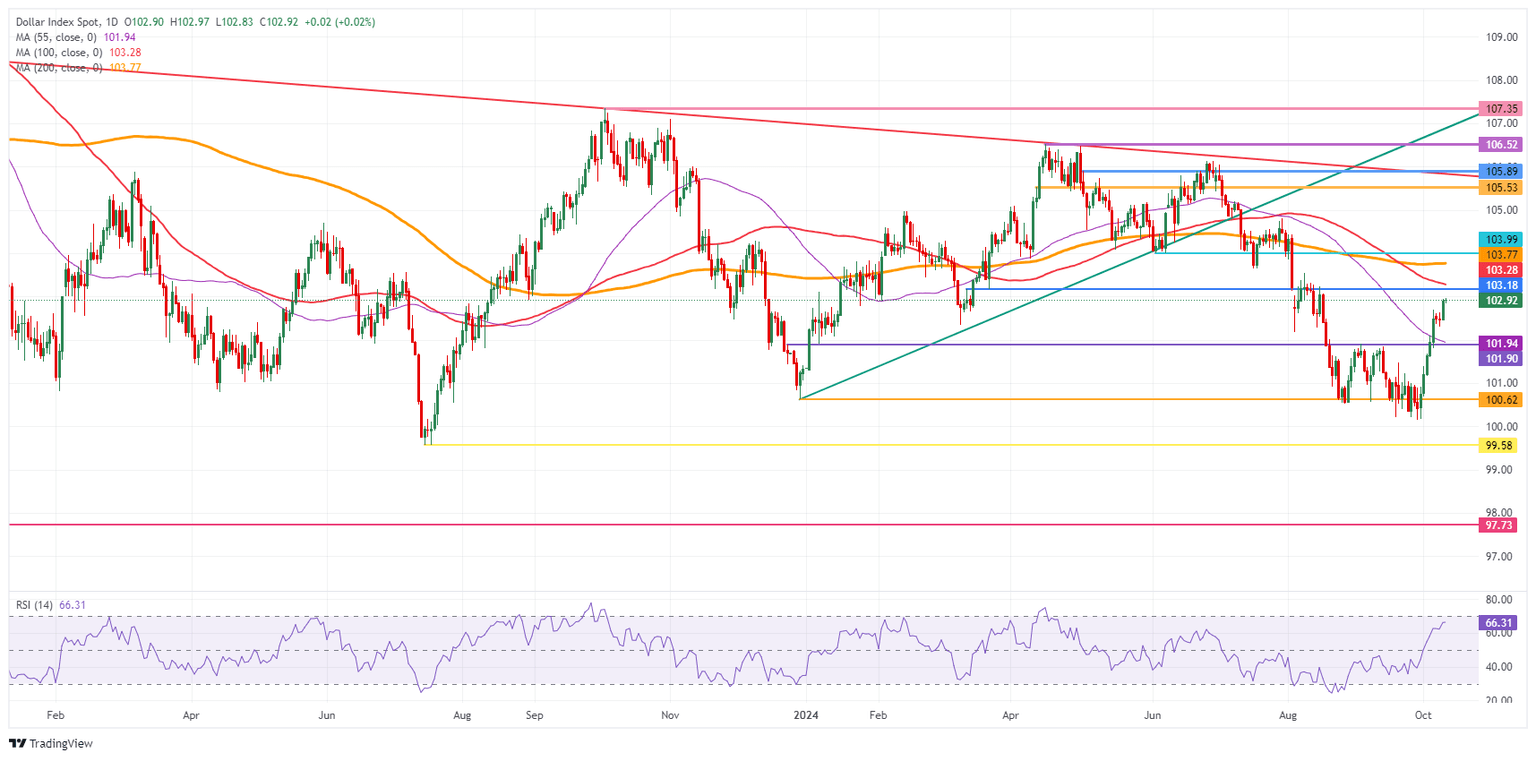 US Dollar Index: Daily Chart