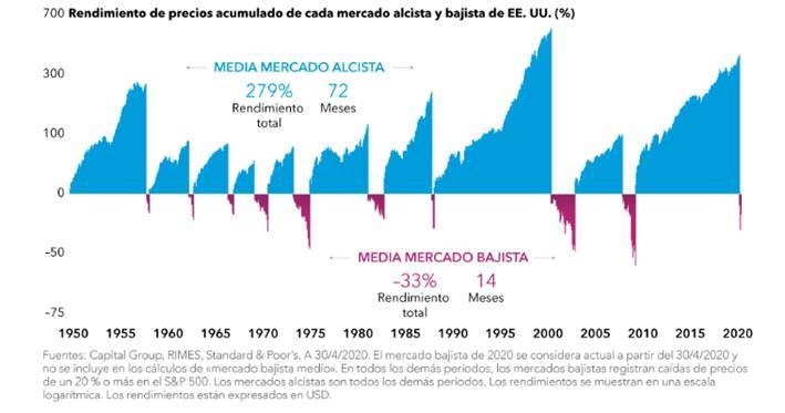 imagen1